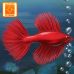 Download Fish Tycoon Lite app
