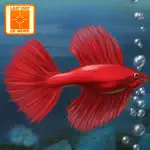 Fish Tycoon Lite App Cancel