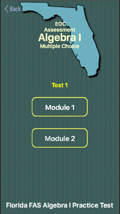 FL FAS Algebra I Practice Test screenshot 2