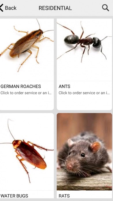 Pest Service Direct screenshot 3