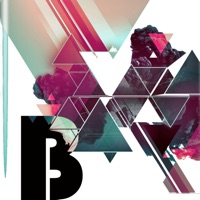 Belgium Music Radio ONLINE app icon - Music app for iPhone