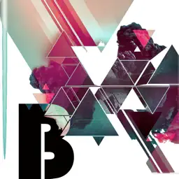 Belgium Music Radio ONLINE app icon