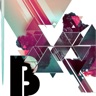 Belgium Music Radio ONLINE icon
