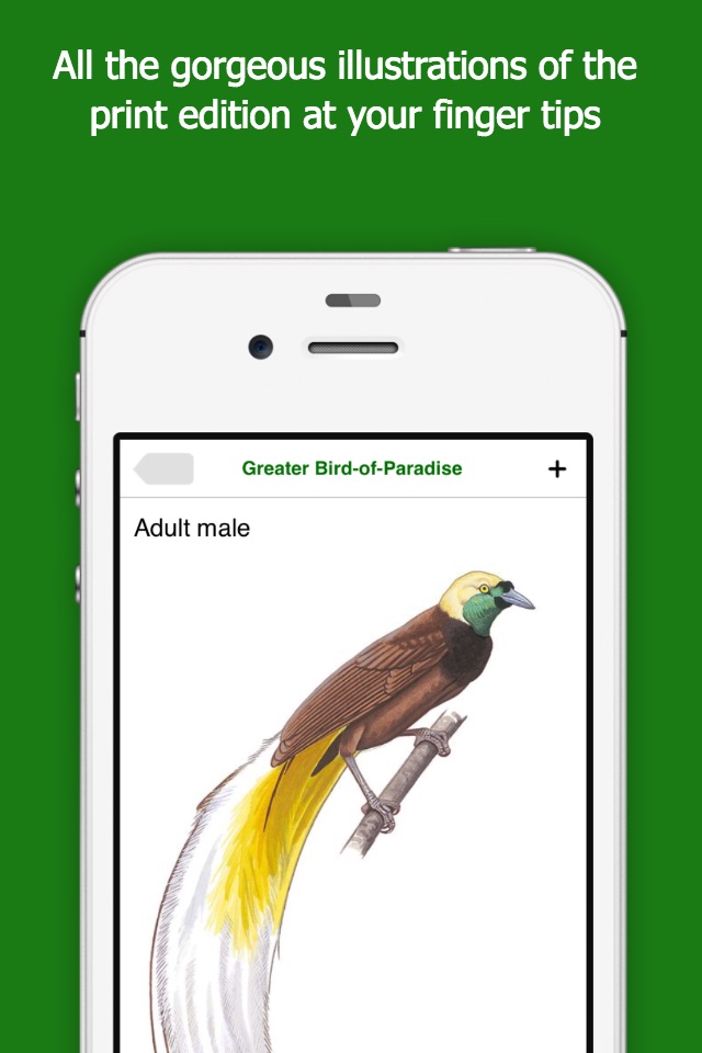 Birds of New Guinea screenshot 2