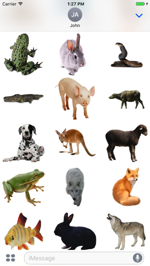 Real Animals Stickers Pack(圖2)-速報App