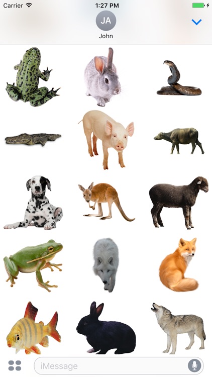 Real Animals Stickers Pack