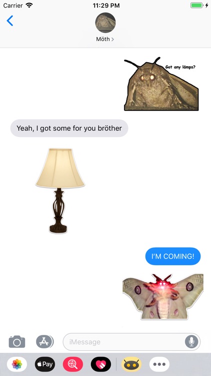 Lamp Moth