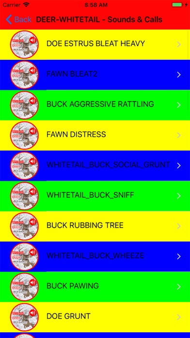 2000+ Animal Sounds Calls Screenshot