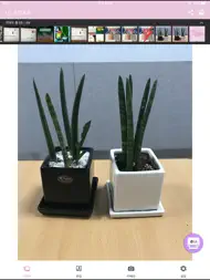 Pocket Photo ipad bilder 1
