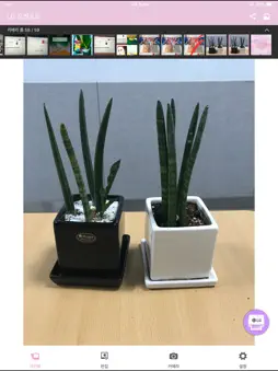 Pocket Photo screenshot 7