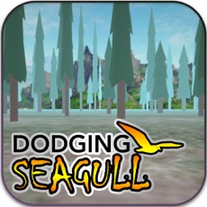 Activities of Dodging Seagull