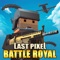 URB: Last Pixels Battle is a massive multiplayer online action battle arena where you have to do anything possible and impossible to stay alive and survive