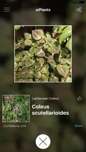 aiPlants screenshot #2 for iPhone