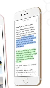 The Bible from 30,000 Feet screenshot #5 for iPhone