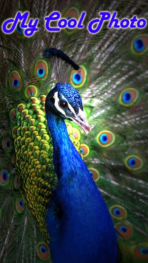 MyCoolPhoto