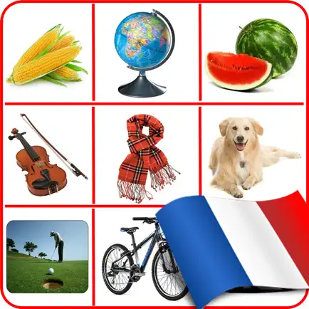 Learning French - Basic Words Читы