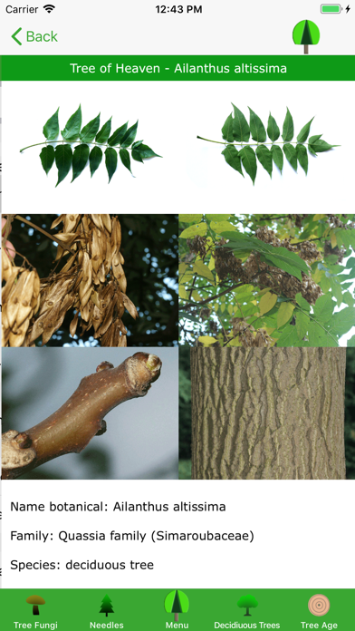 tree-guide Screenshot