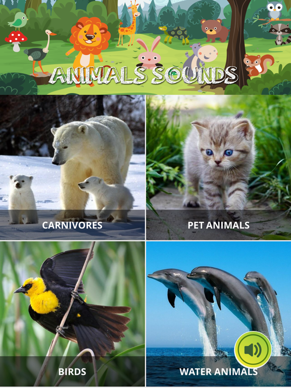 Screenshot #6 pour Animal Sounds - Piano