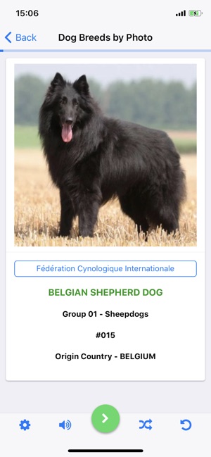 Dog Breeds Recognized by FCI(圖3)-速報App