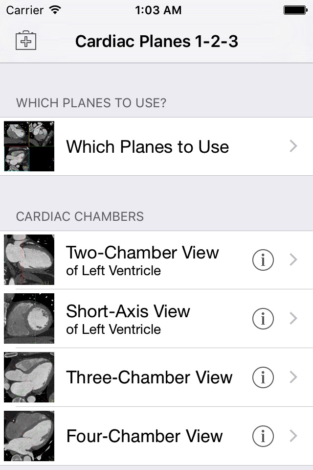 Cardiac Imaging Planes 1-2-3 screenshot 3