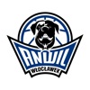 Anwil Włocławek