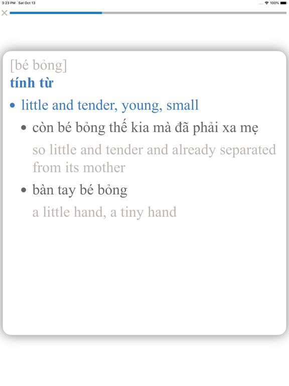 English Vietnam Dictionary iPad screenshot 8 - Education app