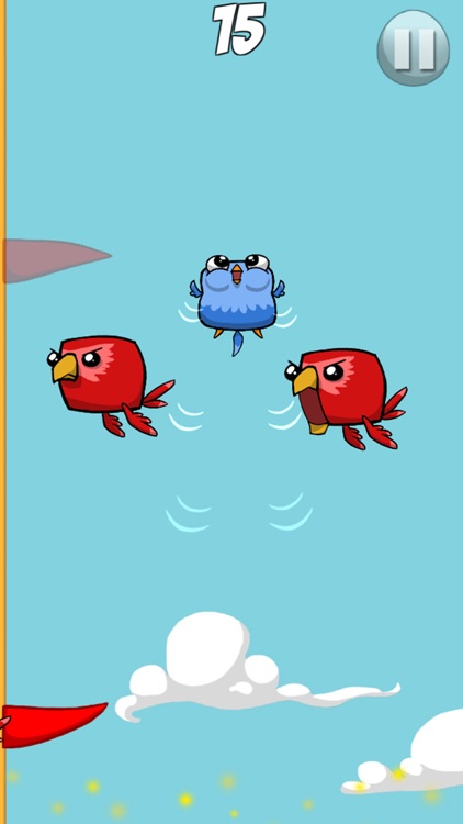 Bumpy Birds