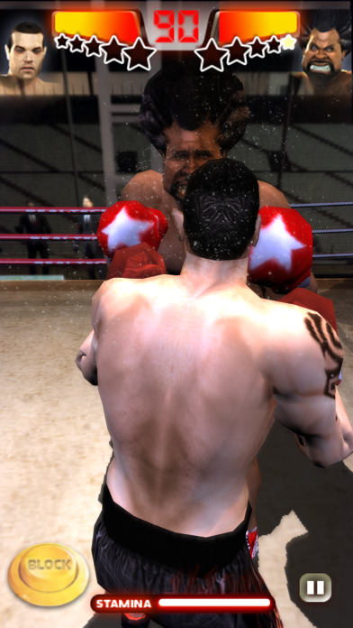 Iron Fist Boxing Lite screenshot 1