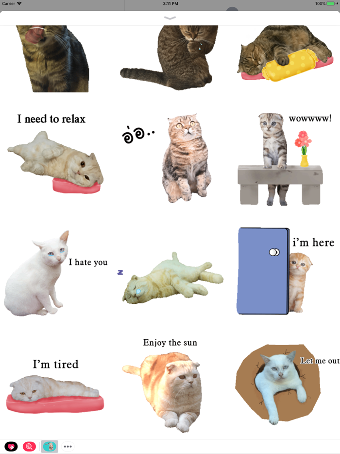 Oh My Cat Animated Stickers
