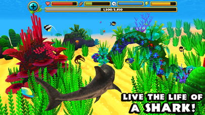 Wildlife Simulator: Shark Screenshot 1