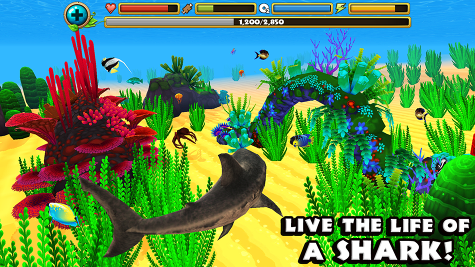 Wildlife Simulator: Shark - 1.1 - (iOS)