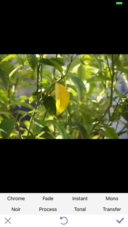 SelePhoto screenshot-3