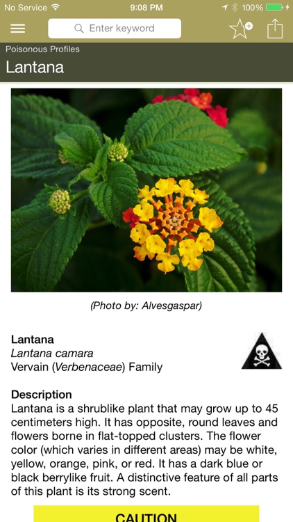 Wild Plant Survival Guide
