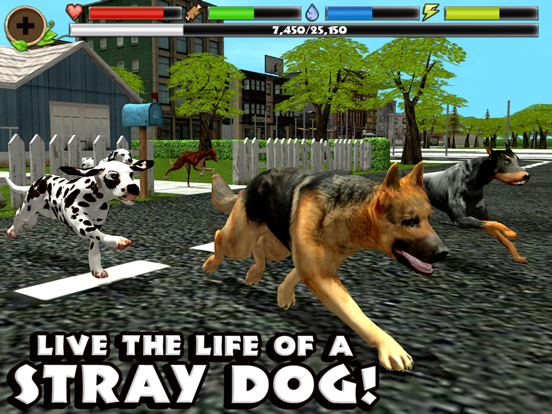 Stray Dog Simulator на iPad