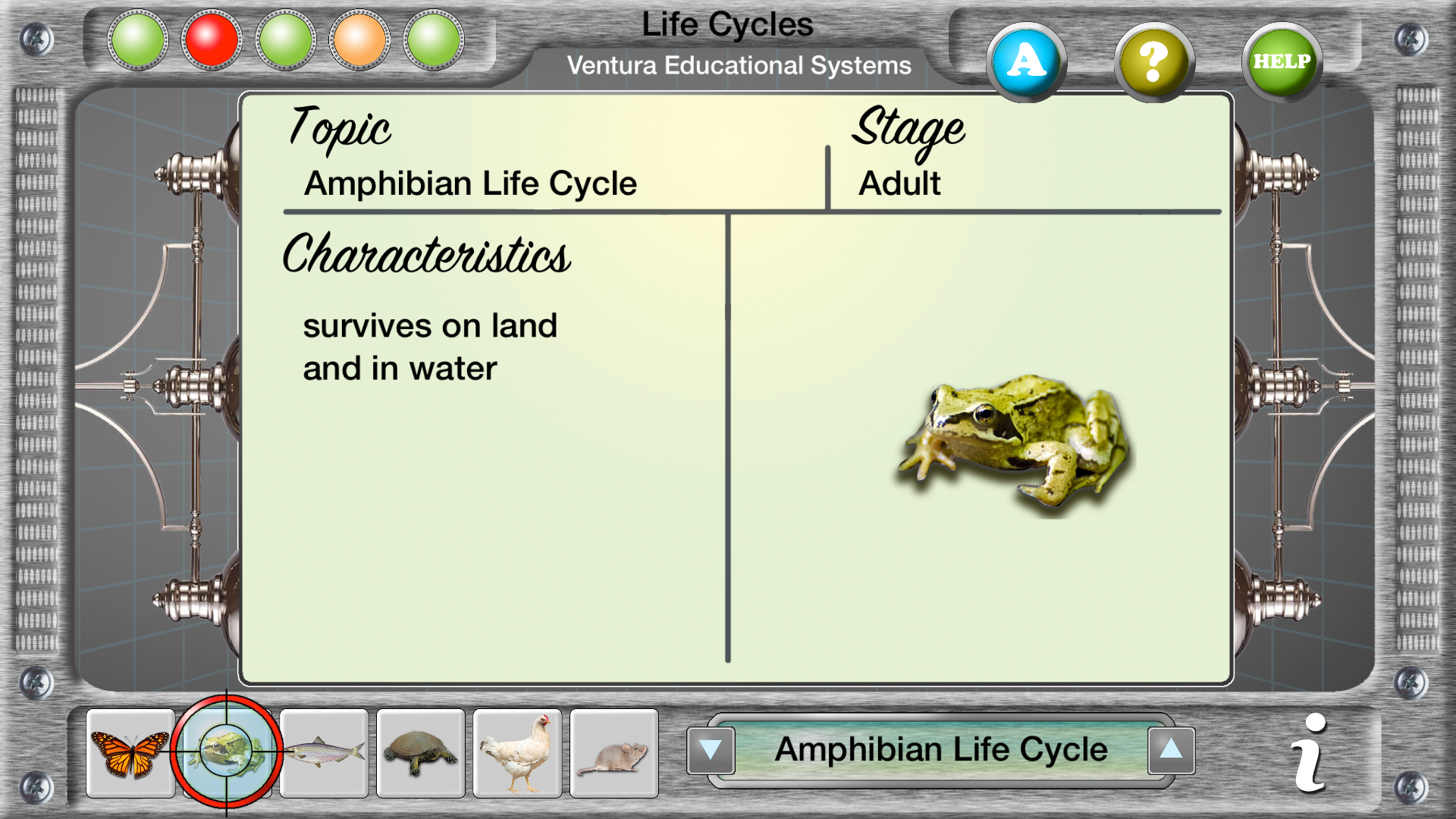 Interactive Life Cycles screenshot 7