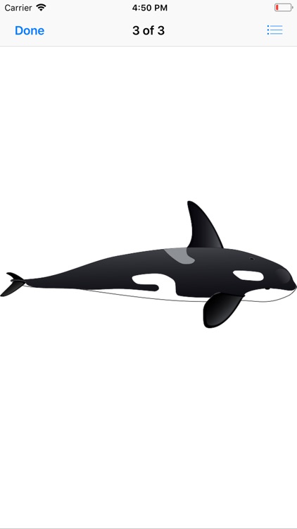 Real Whale Stickers screenshot-3
