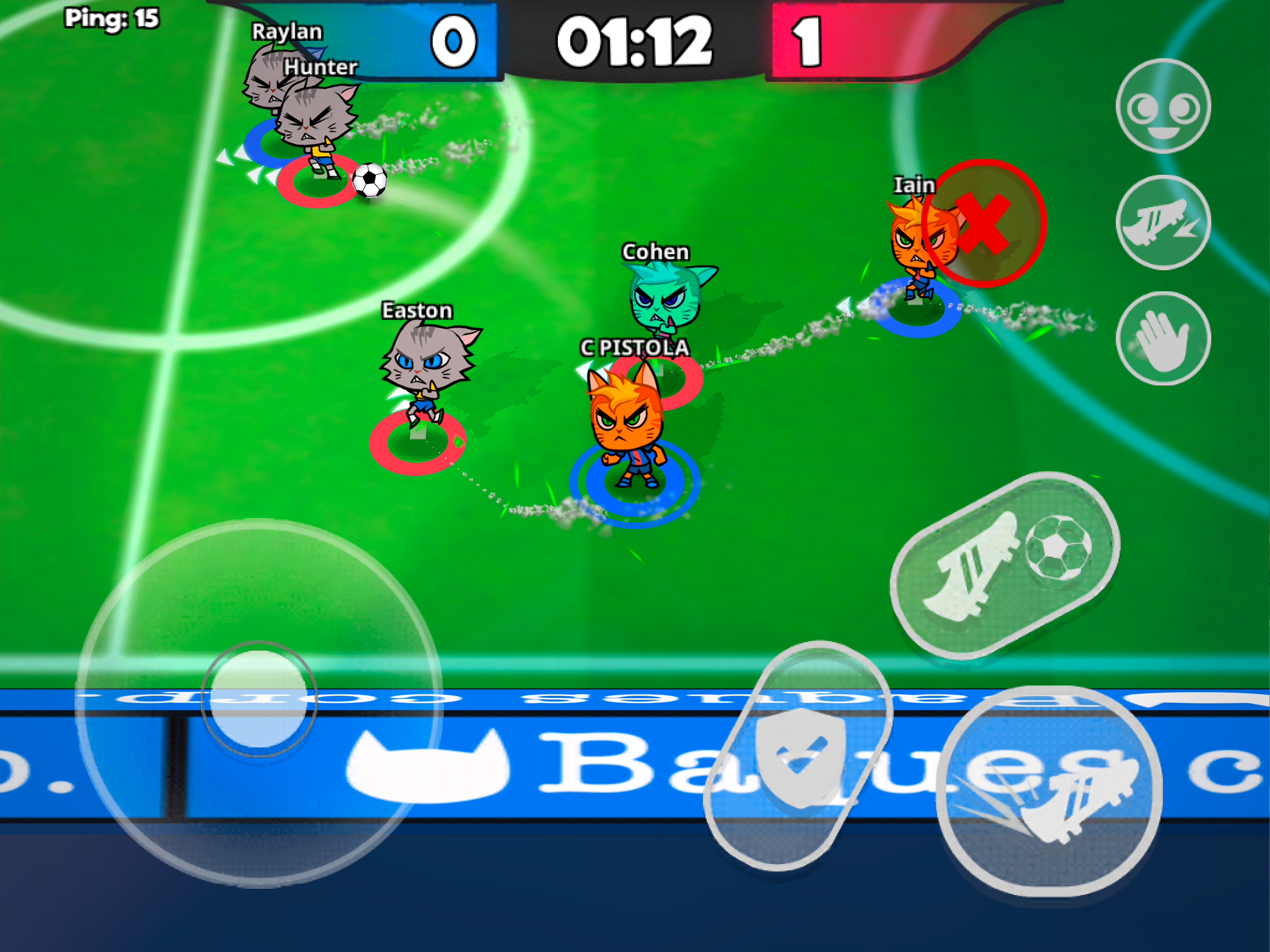 Cat Football Arena