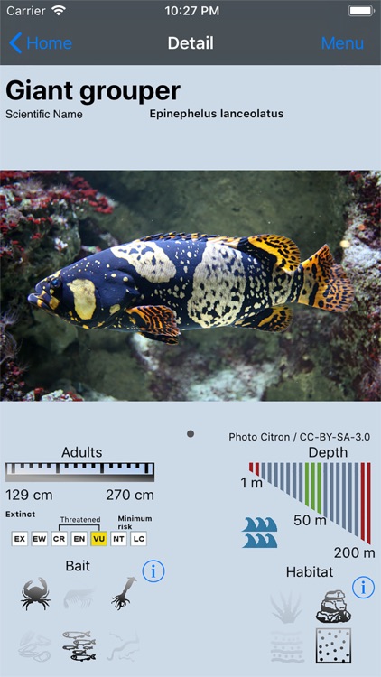 Fish Bait Lure Lite Quiz 2019 screenshot-0
