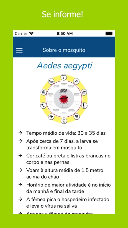 BH Sem Mosquito screenshot-3