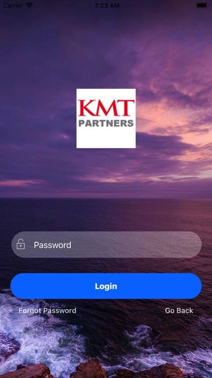 KMT Partners Advisory