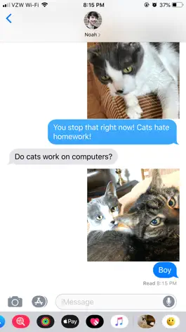 Game screenshot Junie the Cat hack