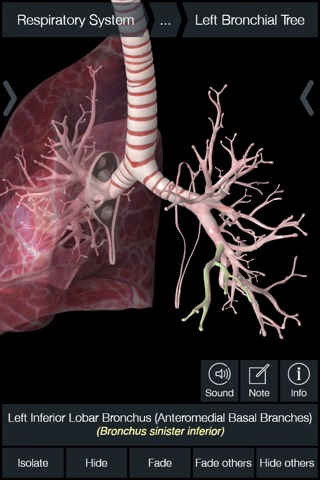 Essential Anatomy 5 screenshot 3