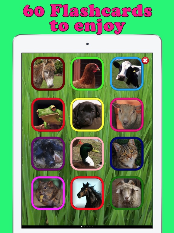 Screenshot #6 pour Play & Learn Animal Flashcards
