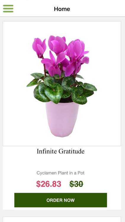 Fleurs De La Sagesse