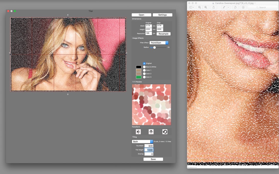 #3. Picture Tiler (macOS) 由: Boudewijn Krijger