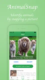animalsnap - identify animals problems & solutions and troubleshooting guide - 2