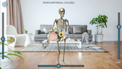 Virtual Skeletonのおすすめ画像1