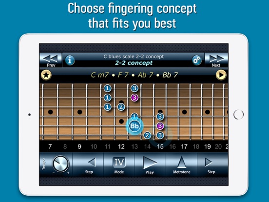 Screenshot #6 pour Bluesman Guitar Scales