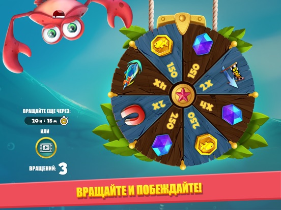 Игра Dolphy Dash