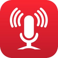  Smart Recorder and transcriber Alternatives